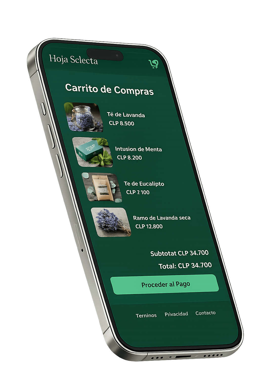 Proyecto 5